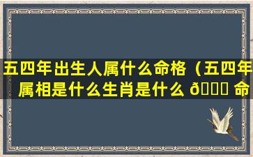 五四年出生人属什么命格（五四年属相是什么生肖是什么 🐈 命 🐬 ）